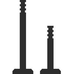 Engine Intake & Exhaust Valve