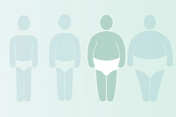 Wide Range of Sizes