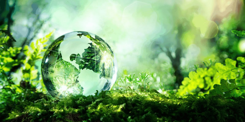 Sustainable Environmental