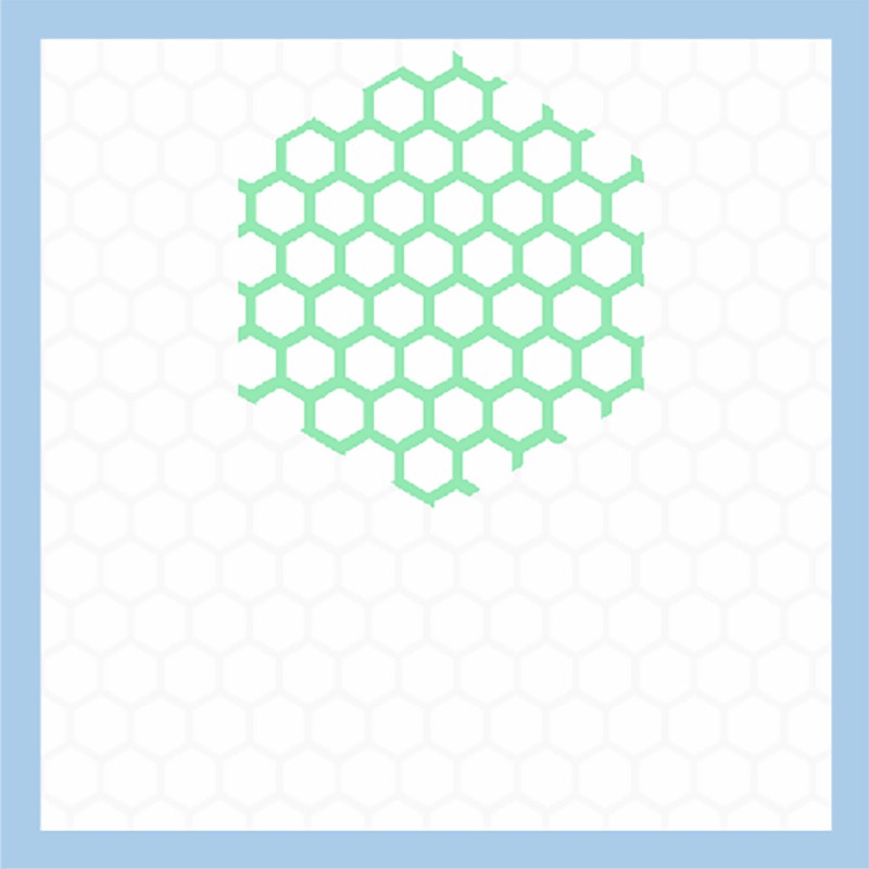 Disposable Under Pad (Pro-Care Version)