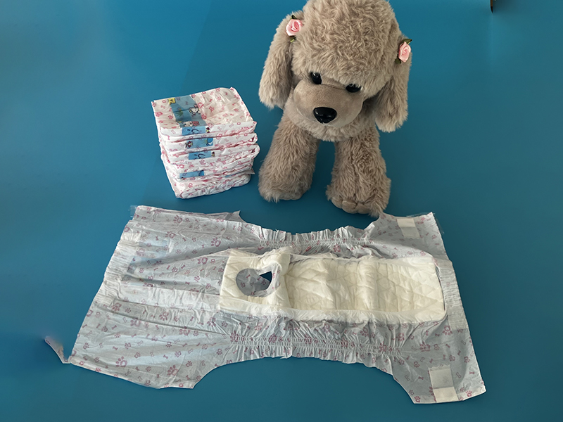 Female Dog Diapers
