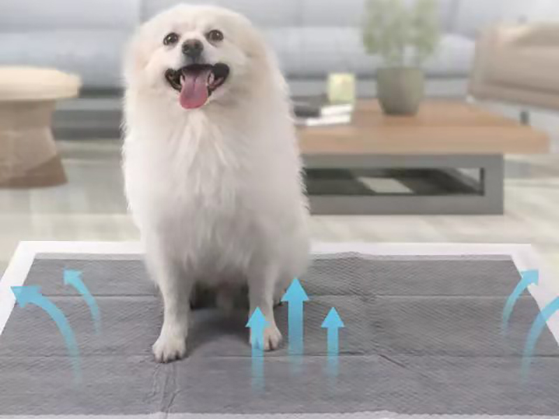 Disposable Puppy Pads (Functional Version)