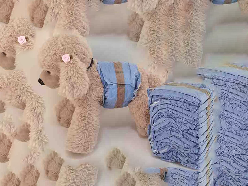 Male Dog Diapers