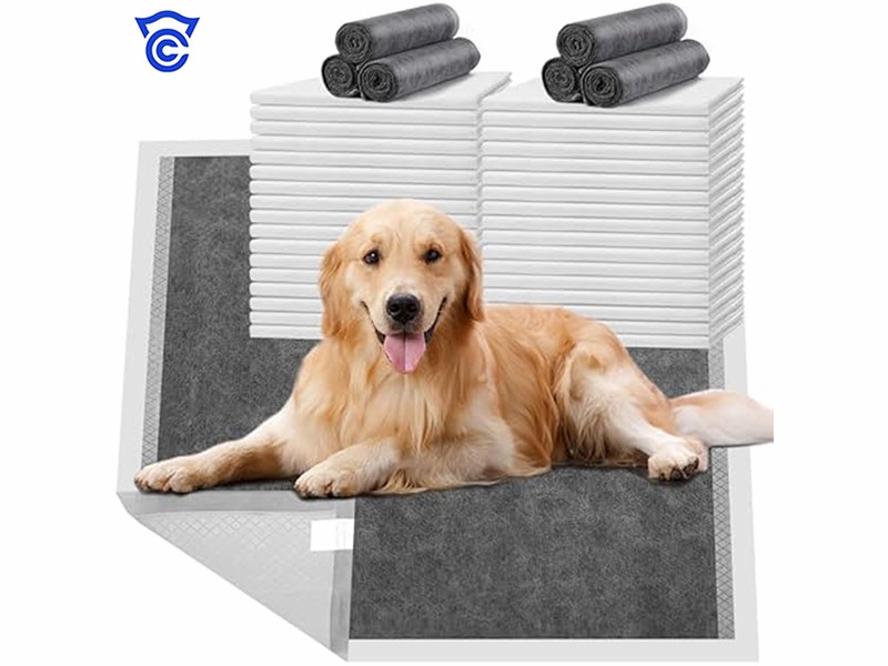 Own-Brand Model: Low-MOQ Custom Supply