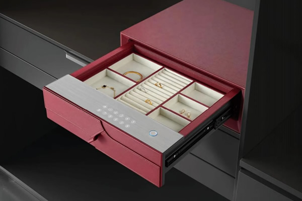 Secure Display and Care Solution for Private Watch Collectors