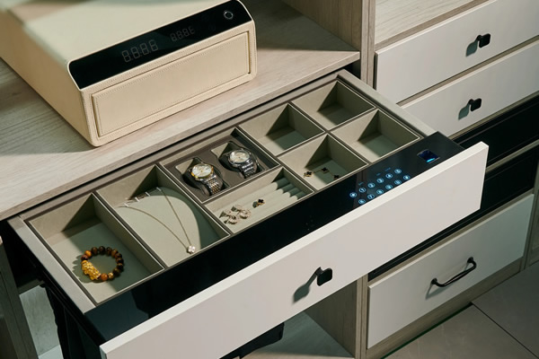 Customized Smart Storage Solution for Luxury Villa Interiors