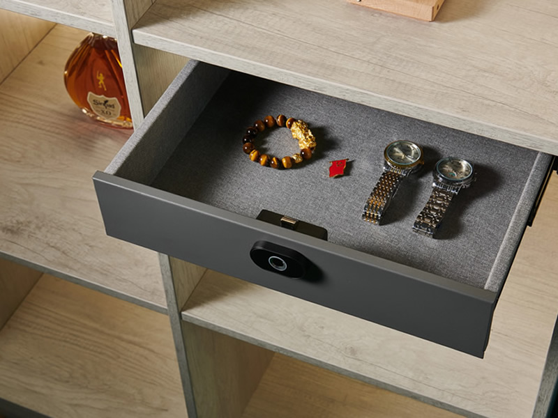 Suspended Ceiling-Mounted Safe Drawer